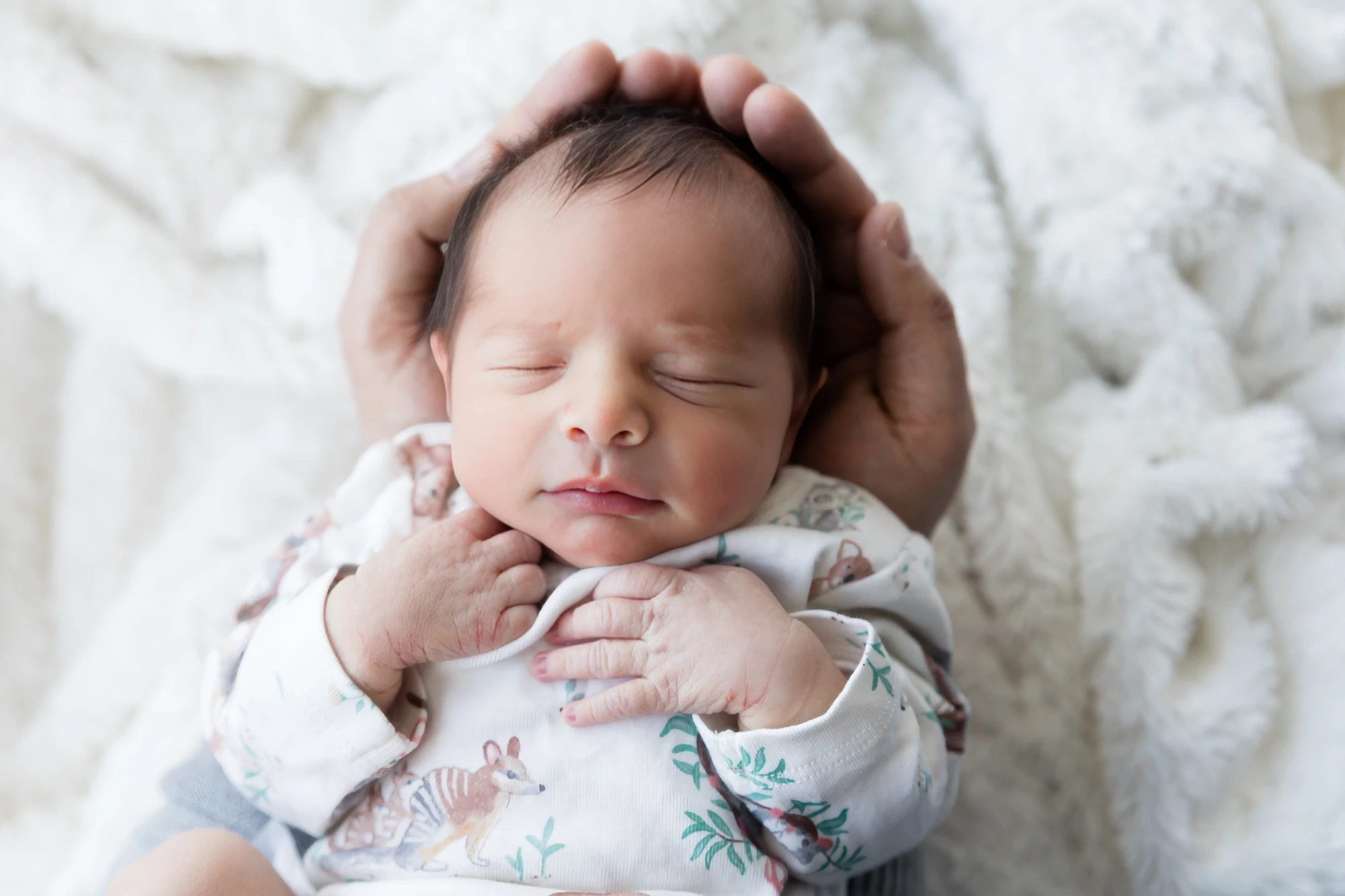 Newborn session at The George Centre, Gledswood Hills — sample 4
